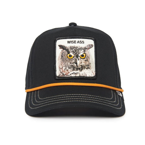 Wise Owl 100 "WISE ASS"