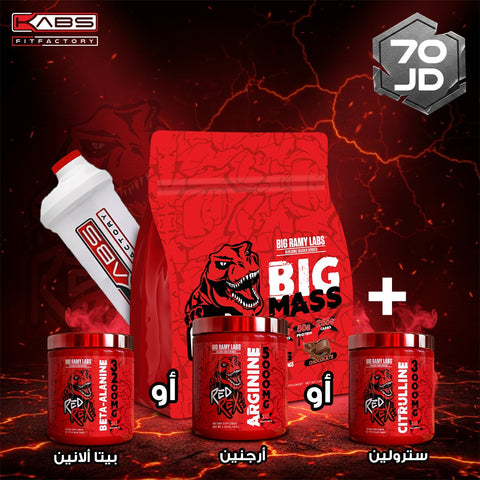 عروض النشافة - ريد ريكس 6